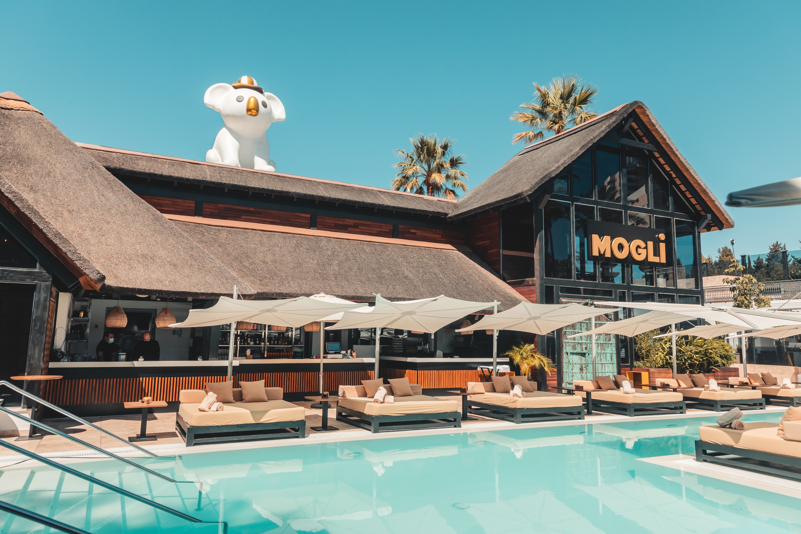 Mogli Pool Bar in Marbella
